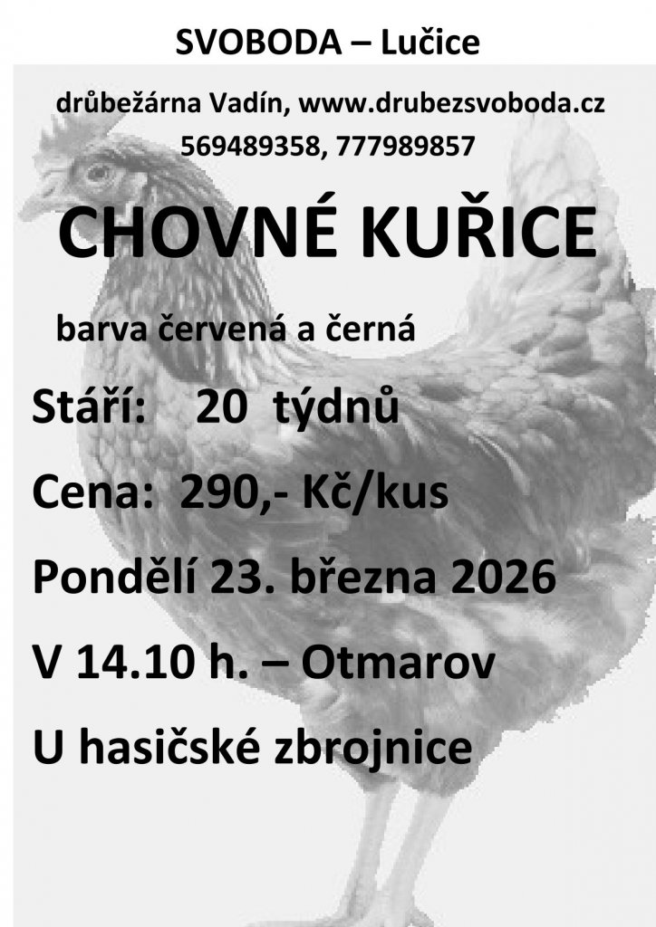 0001 kurice 0001 kurice