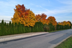 Fotosoutěž - podzim v Otmarově