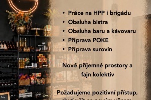 Nabídka práce - Židlochovice