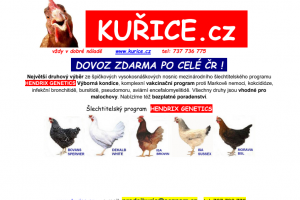 Prodej kuřic