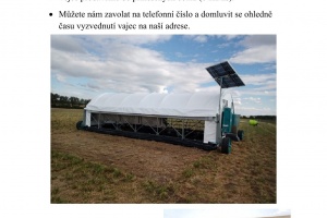 Prodej vajec Otmarov