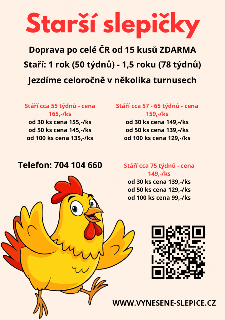 Starší slepičky A5 Starší slepičky A5