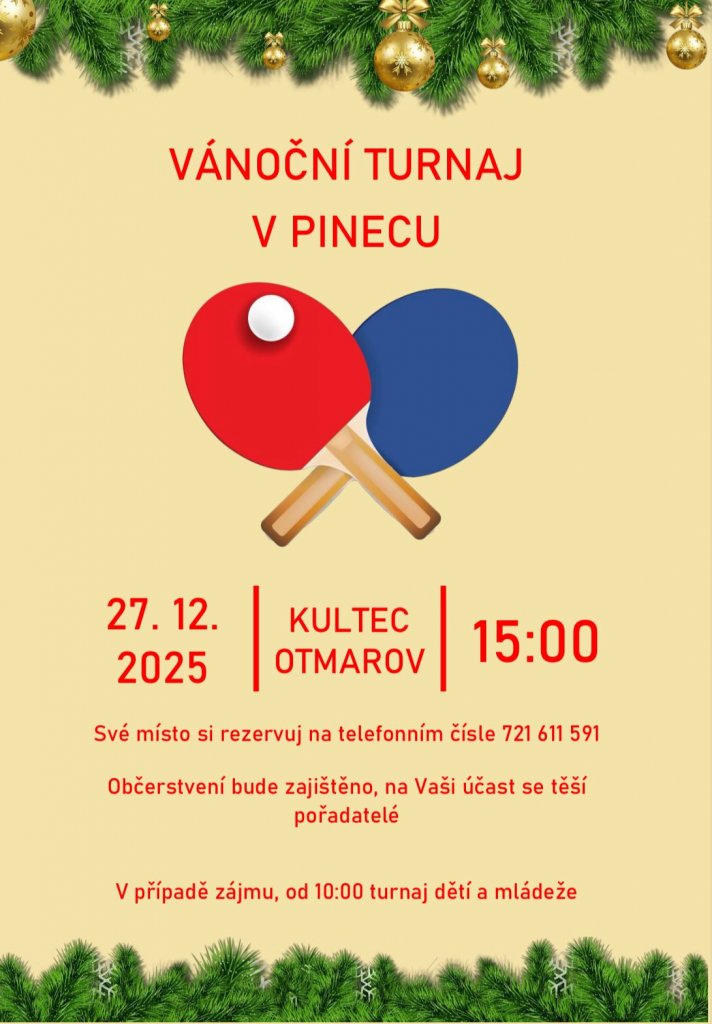 Vánoční turnaj v pinecu Vánoční turnaj v pinecu