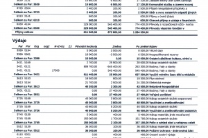 RO 11.2020 (1)