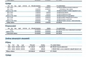 RO 8.2020 (1)