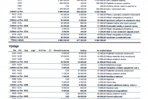 RO 11.2021 (1)