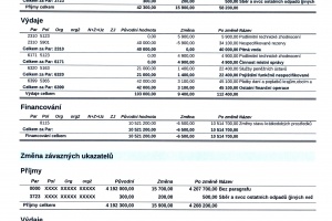 RO 3.2021 (1)