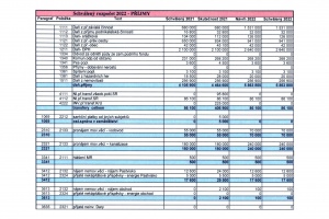Příjmy 2022 (1)