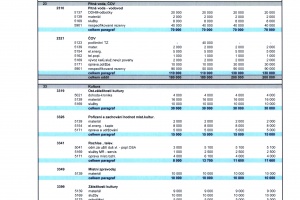 2-Schválený rozpočet_2021- rozpis POLOŽEK-výdaje (1)