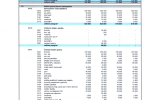 2-Schválený rozpočet_2021- rozpis POLOŽEK-výdaje (3)